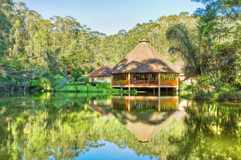 Andasibe-Mantadia National Park, Alaotra-Mangoro Region, East Madagascar, Madagascar